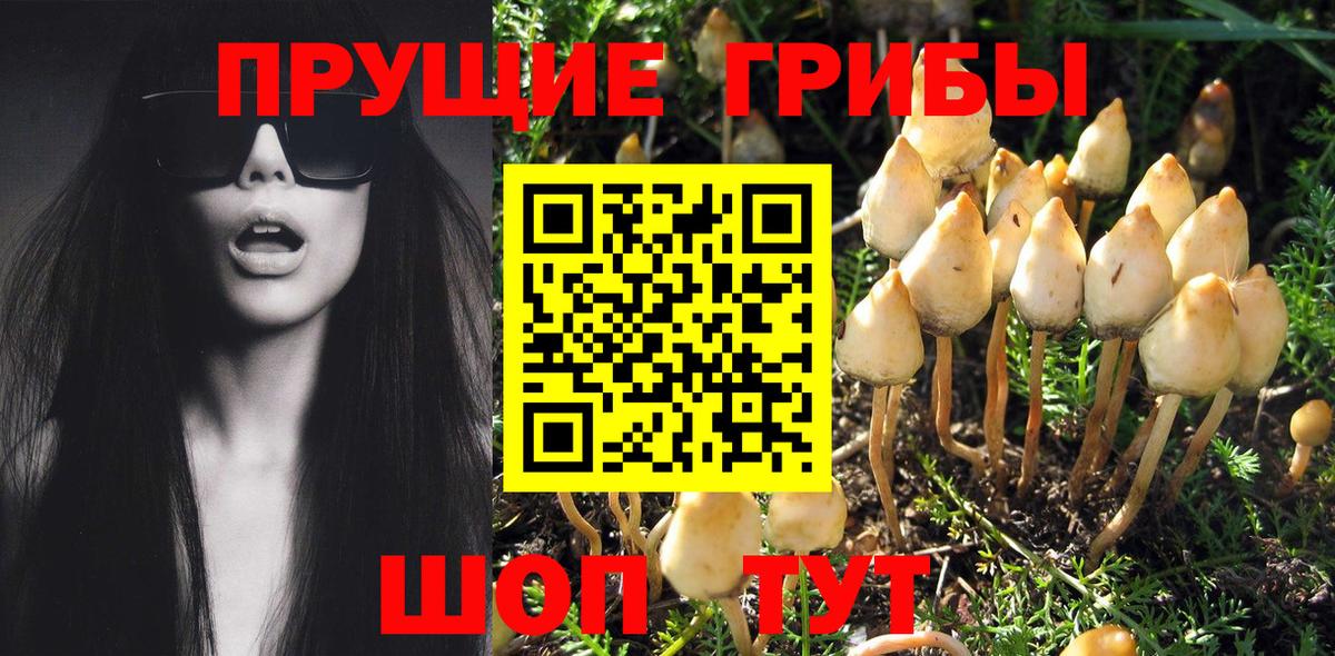 Кизляр  Гашиш  LSD-25  Метамфетамин  Вход с VPN  Меф МЯУ МЯУ   КОКАИН  Канабис  Гашиш 